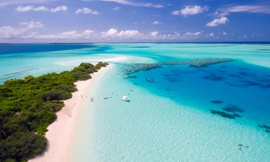 horoscop zilnic 29 decembrie jpeg