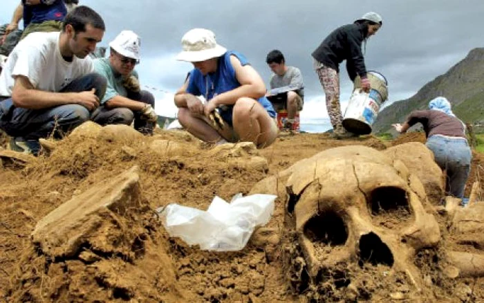 Scheletele descoperite ajung la persoane care trebuie să le cureţe pentru a fi analizate