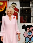charles si camilla 