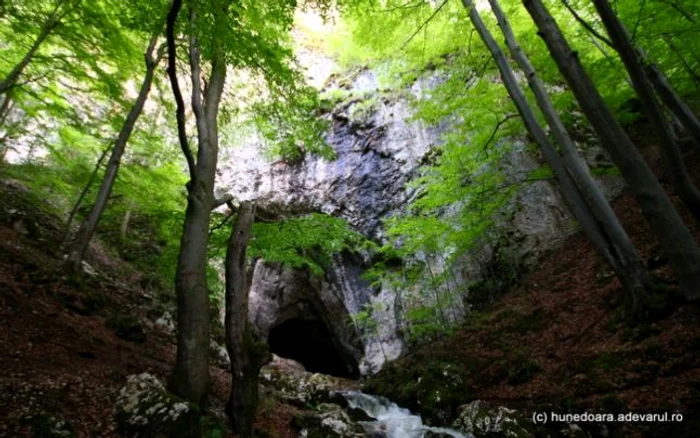 
    Oamenii de știință au reexaminat fracturile unui craniu de bărbat descoperit în peştera transilvăneană Cioclovina Uscată, în 1941FOTO: adevarul.ro  