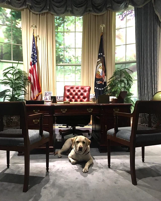 3 sully cainele lui george bush senior 6 jpg jpeg