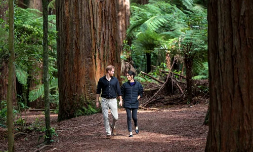 1 gettyimages 1055671312 jpg jpeg