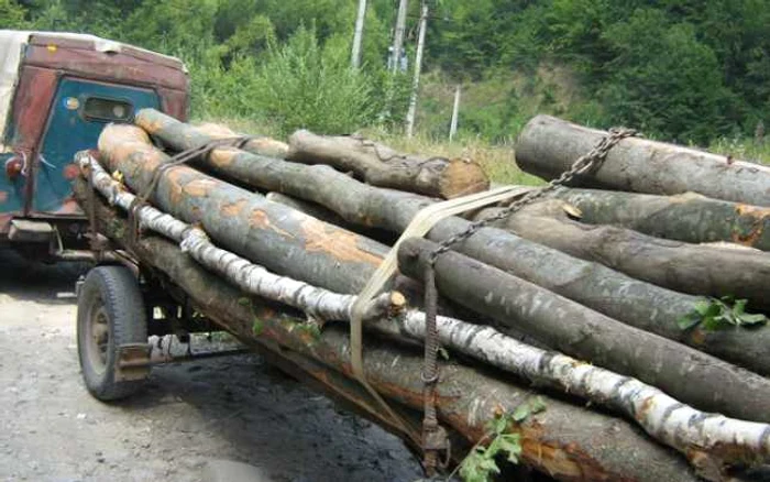 Tragicul accident s-a petrecut în pădure