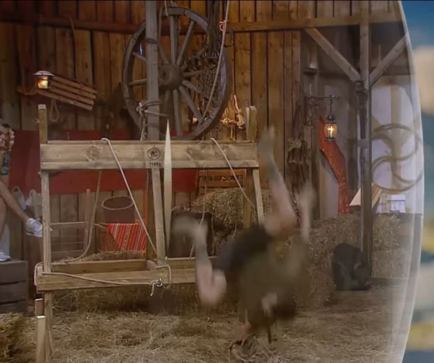 8 burcea accidentare ferma jpg jpeg