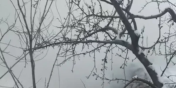 6006a21b5163ec4271185f4a jpg
