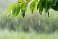 vremea, foto shutterstock jpg