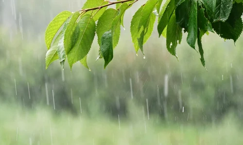 vremea, foto shutterstock jpg