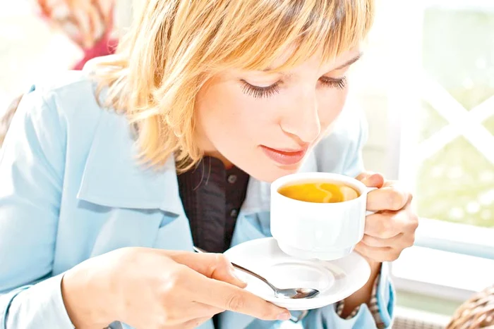 Ce plante tratează arsurile la stomac