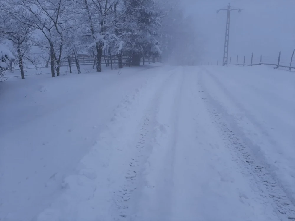 În judeţul Caraş-Severin a fost transmis mesaj Ro-Alert, după ce meteorologii au emis cod roşu de vânt puternic. Foto ilustrativă: Arhivă