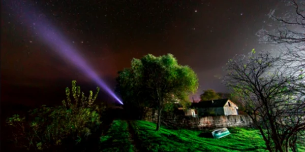 Delta Dunării Sursa foto Facebook Sorin Onişor