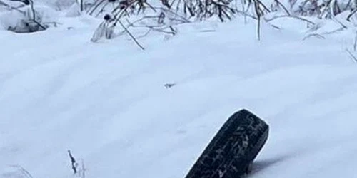 roată sărită 2 jpg