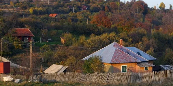 Ţinutul Pădurenilor. Drumul spre Vadu Dobrii. FOTO