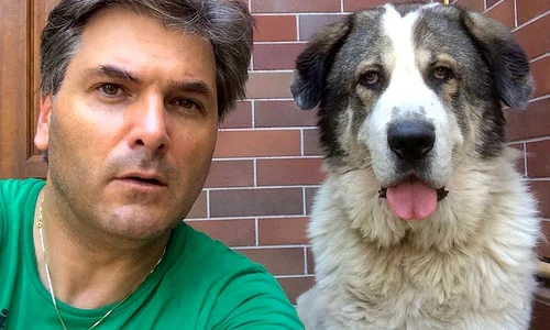 Mircea Radu caine2 jpeg