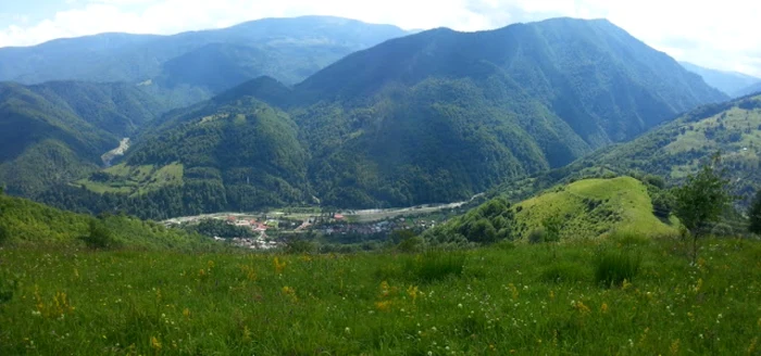 Vâlcea