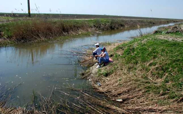 pescbr1