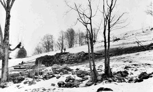 Rămăşiţele fraţilor Toader şi Avisalon Şuşman, ucişi de Securitate în 1958, nu au fost găsite jpeg