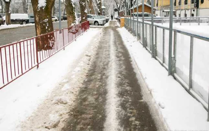 ninsori foto IPN