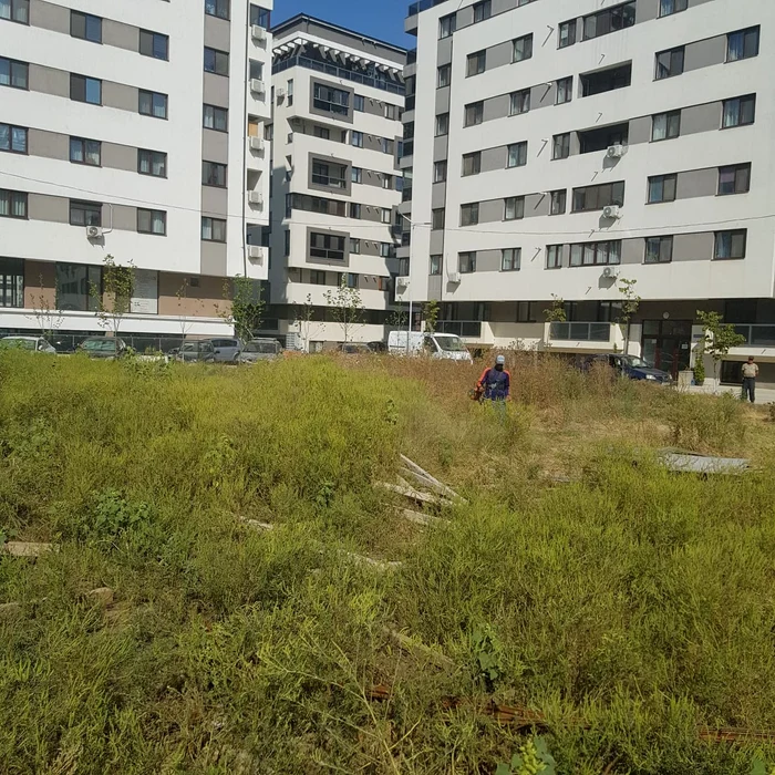 Echipele din cadrul Primăriei intervin cu motocoase în zonele ce aparțin de administrația locală