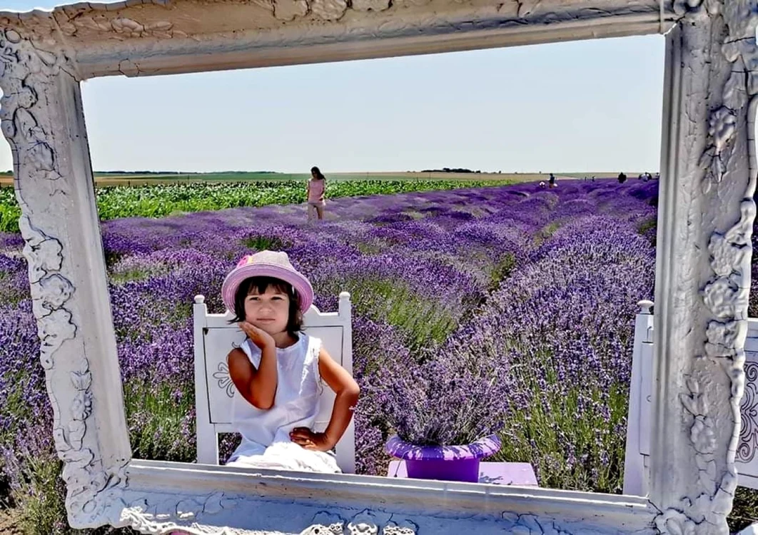 Fotografii în câmpul cu lavandă foto: FB/Experiente Dobrogene