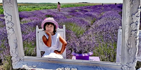 festival lavanda pecineaga foto experiente dobrogene