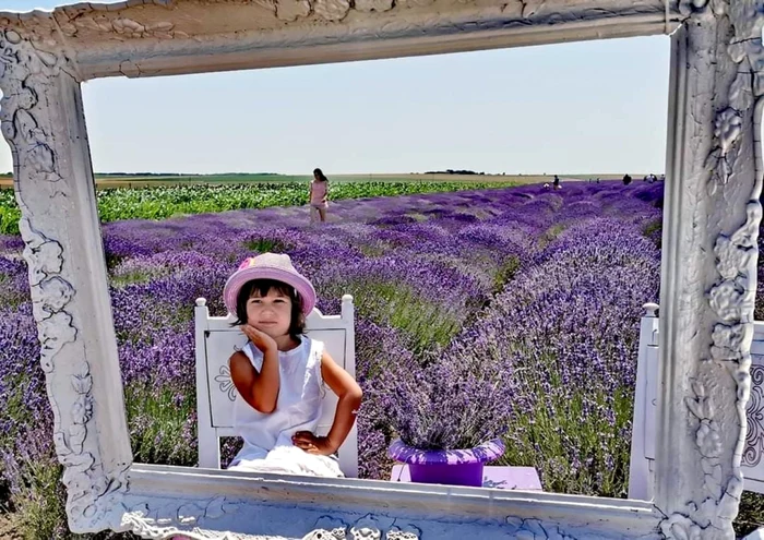 Fotografii în câmpul cu lavandă foto: FB/Experiente Dobrogene