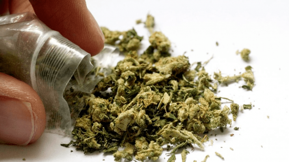 Traficantul de droguri care se promova prin WhatsApp și Instagram. Vindea gramul de cannabis cu 60 de lei