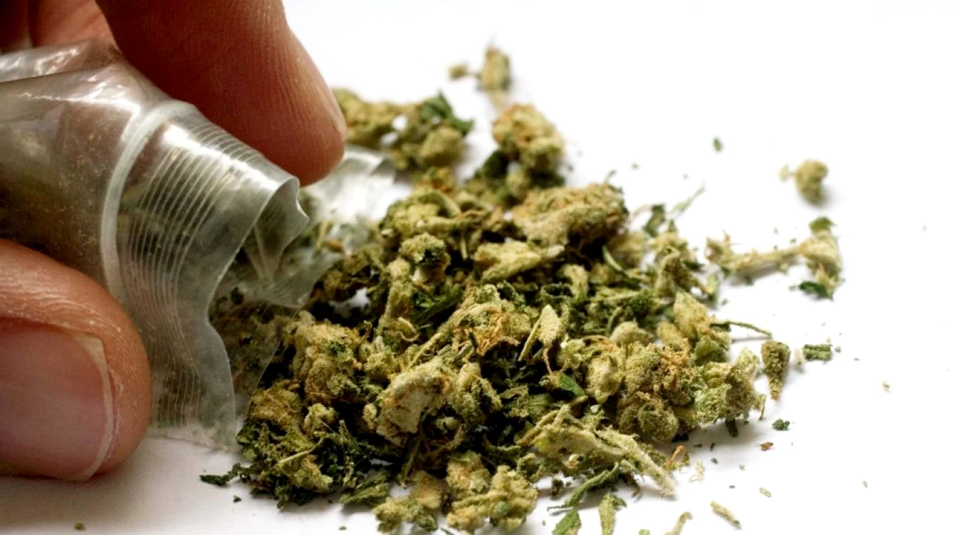 Cannabis