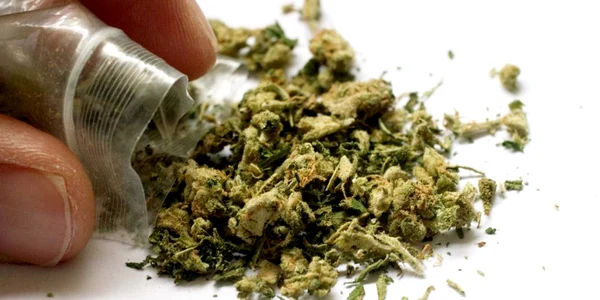 cannabis