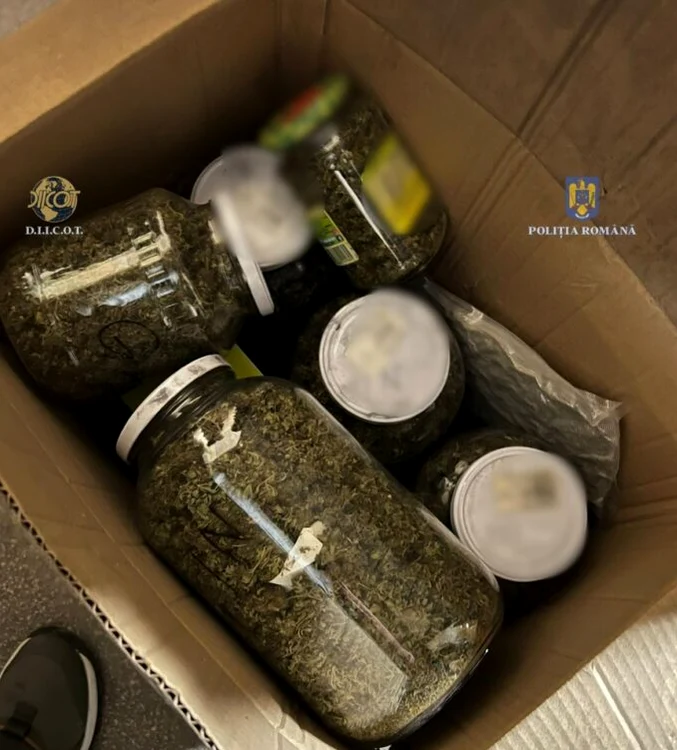 Oamenii legii au găsit cinci kilograme de canabis Foto: DIICOT