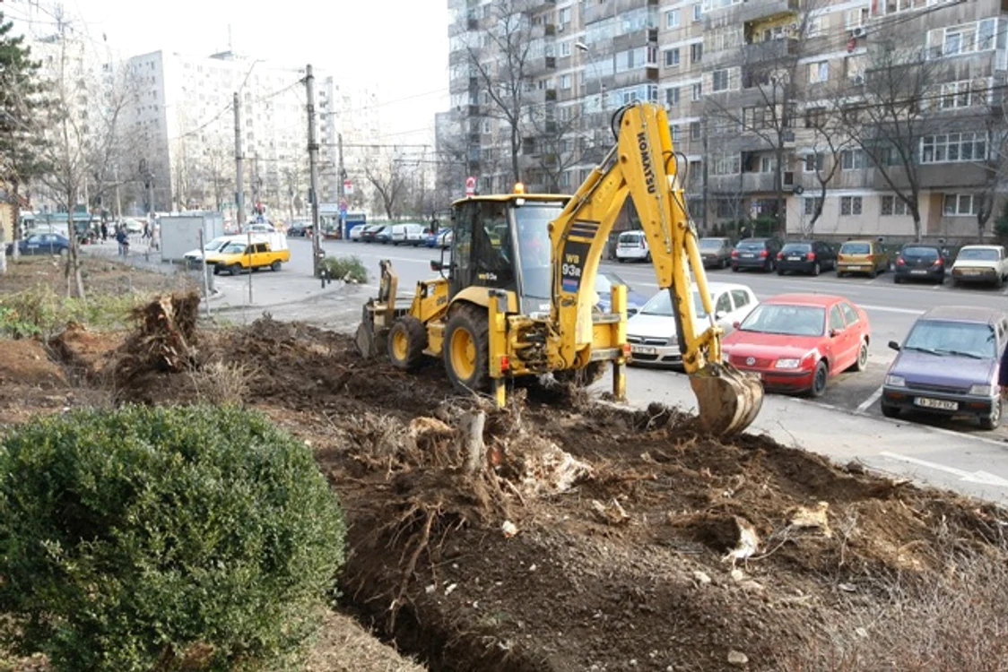 
    Pe traseul metroului din Drumul Taberei au fost scoşi din rădăcini câteva zeci de arbori  
