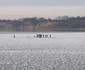 Lacul Răcăciuni FOTO Mircea Albu (2) jpg