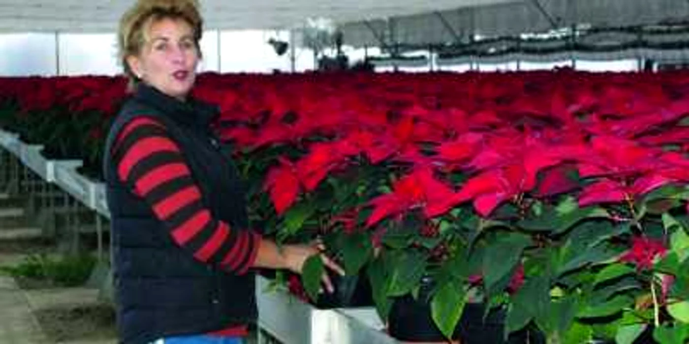 Angela Palasthy este mândră de florile cultivate