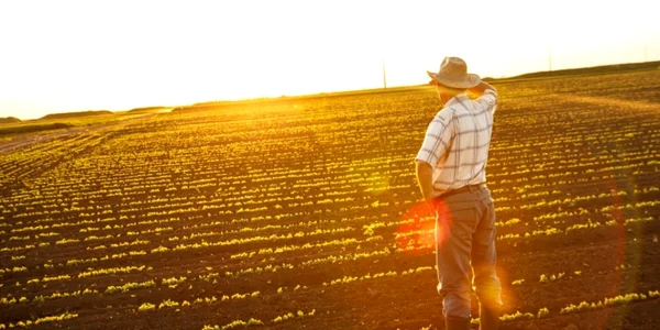 agricultura viitorului