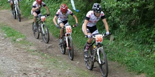 Foto Adevărul