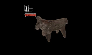 7205d186440340f8bf187e120249c206 jpeg