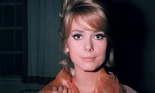 A Young Deneuve jpeg