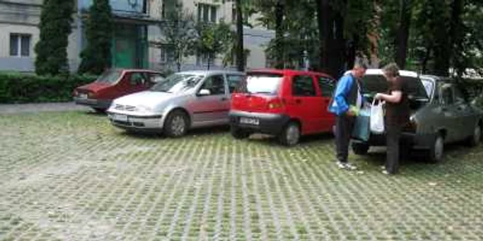 Parcare ecologică pe strada Petru Rareș