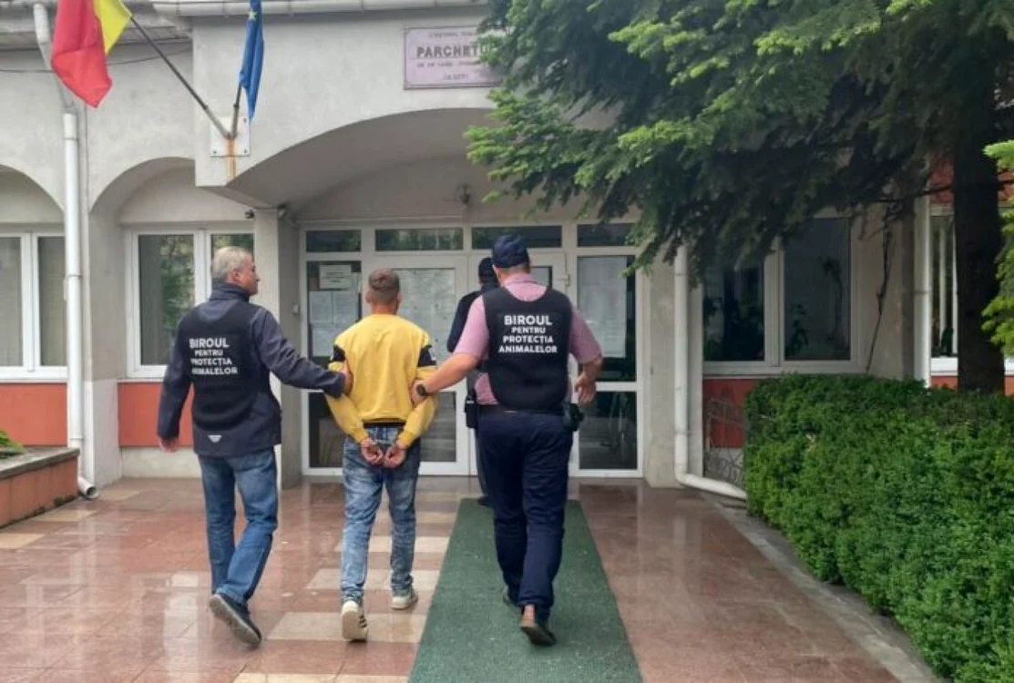 Tânărul a fost reţinut de Poliţiştii Biroului pentru Protecţia Animalelor Bacău FOTO IPJ Bacău