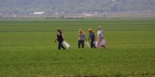 Bistrita:Nici calamităţile nu-i conving să-şi facă asigurare