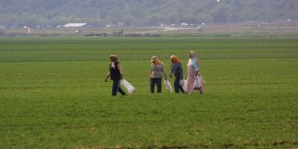 Bistrita:Nici calamităţile nu-i conving să-şi facă asigurare