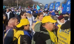 protest profesori Guvern FS Spiru Haret png