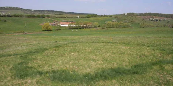 ozn bistrita 