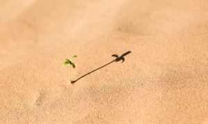 stocksnap white 2565457 1280 jpg