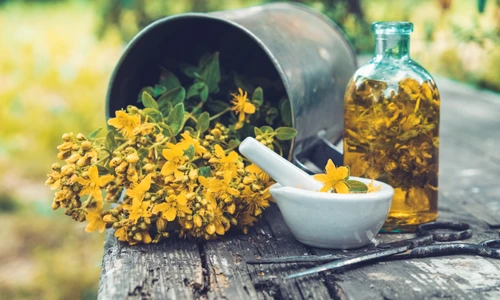 1 shutterstock 1340685131 jpg jpeg