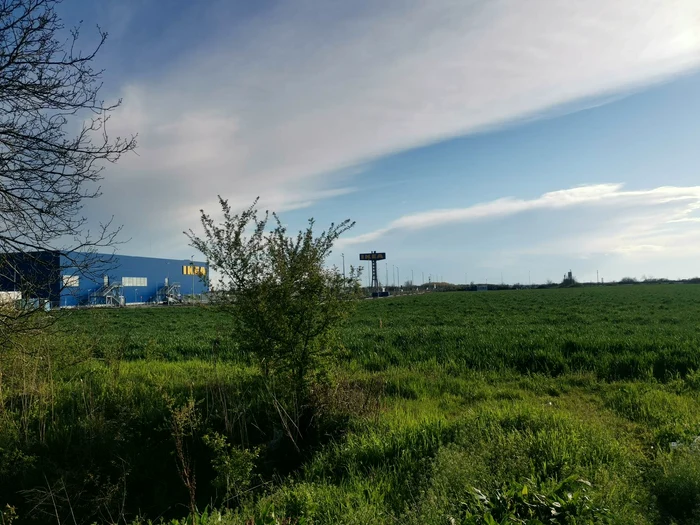 Dedeman se va construi lângă Ikea FOTO Ștefan Both
