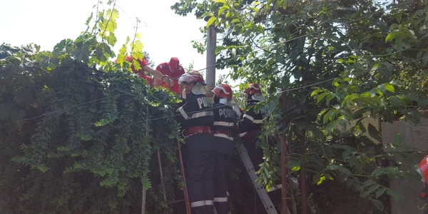 buzau