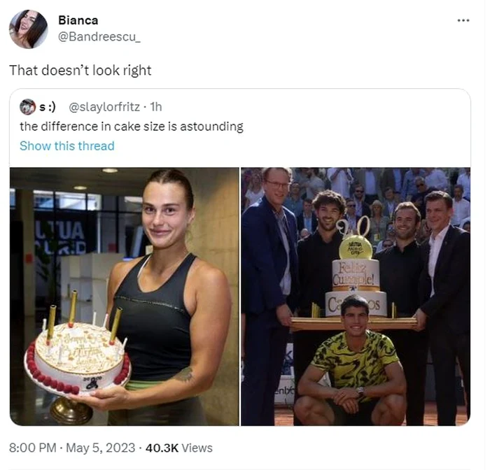 sabalenka tort jpg