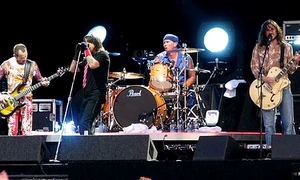 Metallica, RHCP şi criza monedei euro jpeg
