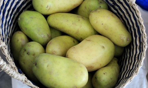 1 shutterstock 1284948622 jpg jpeg