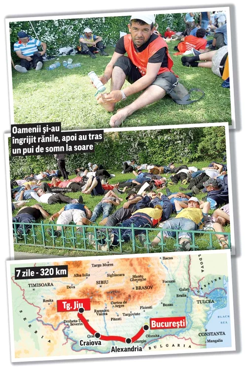 
    Foto: Dorin Constanda  